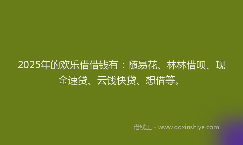 2025年的欢乐借借钱有：随易花、林林借呗、现金速贷、云钱快贷、想借等。
