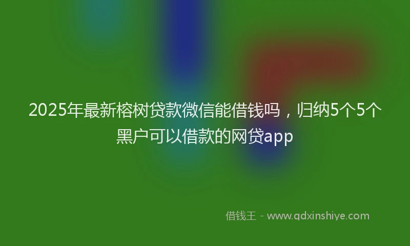 2025年最新榕树贷款微信能借钱吗，归纳5个5个黑户可以借款的网贷app