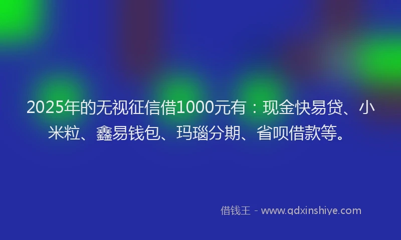2025年的无视征信借1000元有：现金快易贷、小米粒、鑫易钱包、玛瑙分期、省呗借款等。