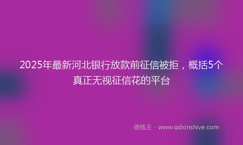 2025年最新河北银行放款前征信被拒，概括5个真正无视征信花的平台