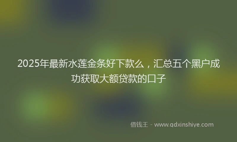 2025年最新水莲金条好下款么，汇总五个黑户成功获取大额贷款的口子