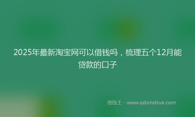 2025年最新淘宝网可以借钱吗，梳理五个12月能贷款的口子
