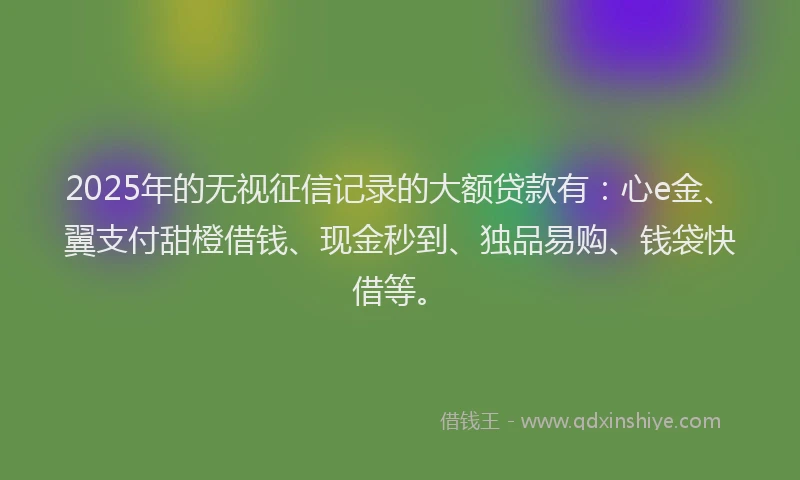 2025年的无视征信记录的大额贷款有：心e金、翼支付甜橙借钱、现金秒到、独品易购、钱袋快借等。