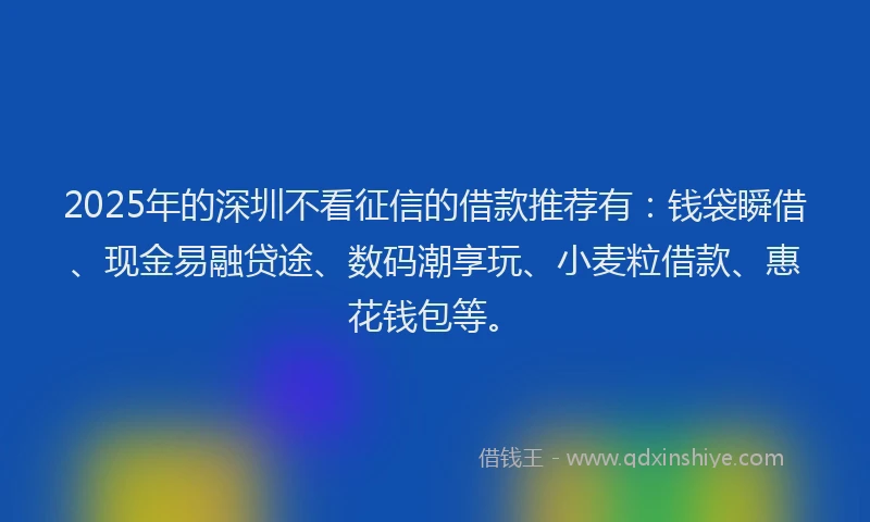 2025年的深圳不看征信的借款推荐有：钱袋瞬借、现金易融贷途、数码潮享玩、小麦粒借款、惠花钱包等。