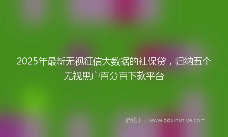 2025年最新无视征信大数据的社保贷，归纳五个无视黑户百分百下款平台