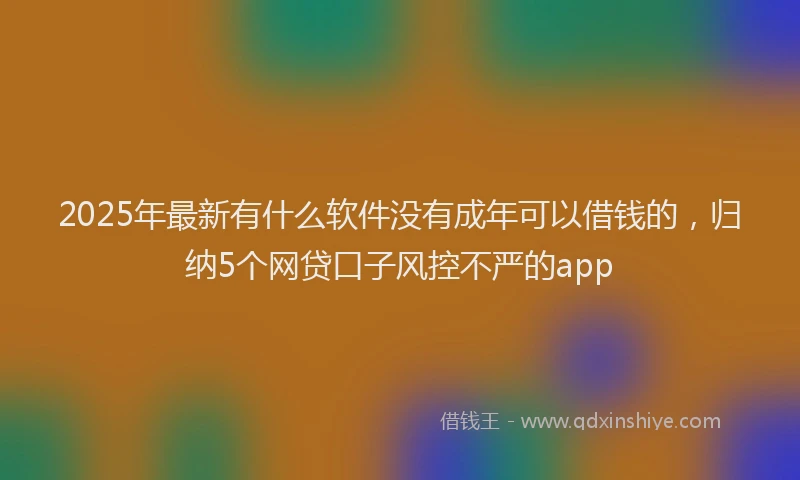 2025年最新有什么软件没有成年可以借钱的，归纳5个网贷口子风控不严的app