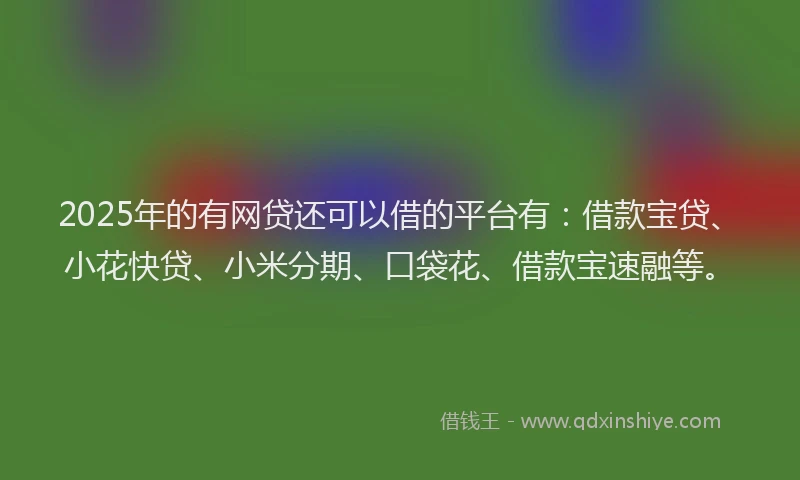 2025年的有网贷还可以借的平台有：借款宝贷、小花快贷、小米分期、口袋花、借款宝速融等。