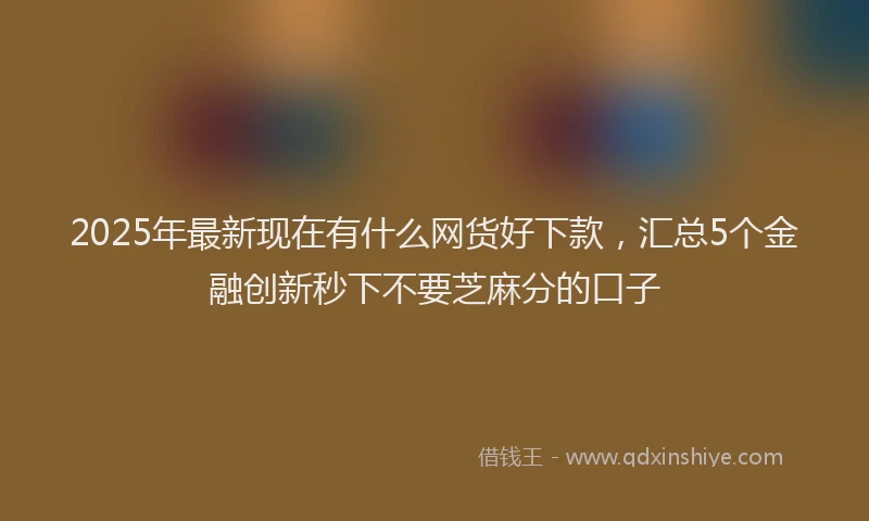 2025年最新现在有什么网货好下款，汇总5个金融创新秒下不要芝麻分的口子