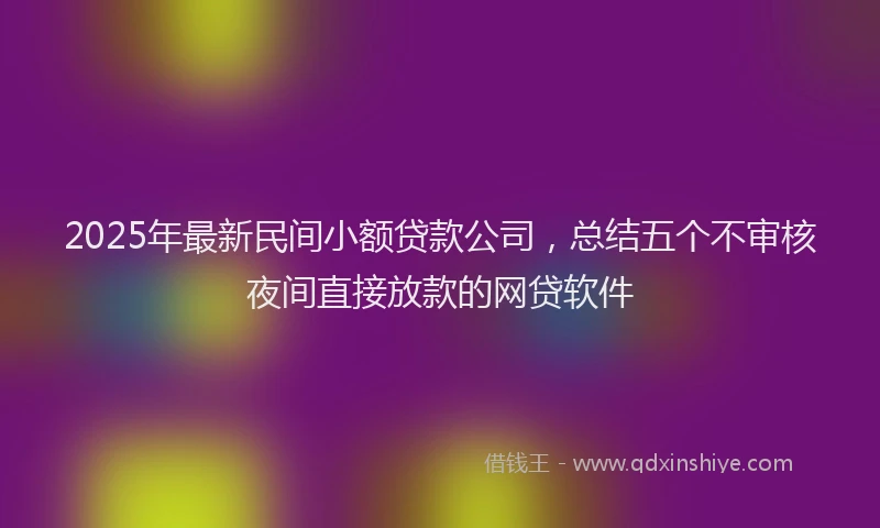 2025年最新民间小额贷款公司，总结五个不审核夜间直接放款的网贷软件