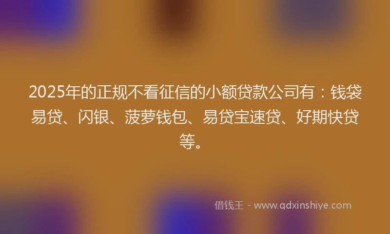 2025年的正规不看征信的小额贷款公司有：钱袋易贷、闪银、菠萝钱包、易贷宝速贷、好期快贷等。