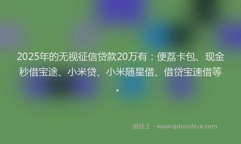 2025年的无视征信贷款20万有：便荔卡包、现金秒借宝途、小米贷、小米随星借、借贷宝速借等。