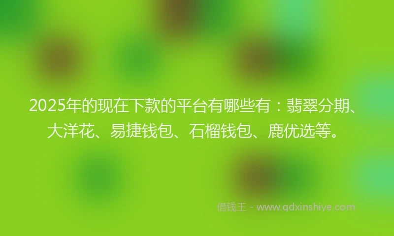 2025年的现在下款的平台有哪些有：翡翠分期、大洋花、易捷钱包、石榴钱包、鹿优选等。