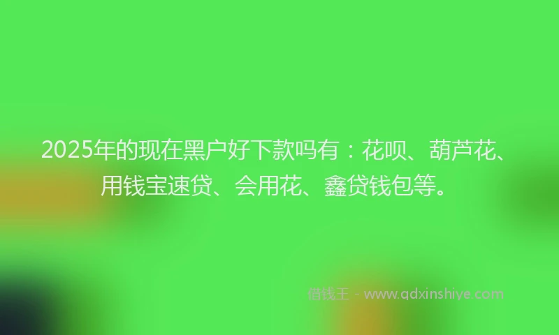 2025年的现在黑户好下款吗有：花呗、葫芦花、用钱宝速贷、会用花、鑫贷钱包等。