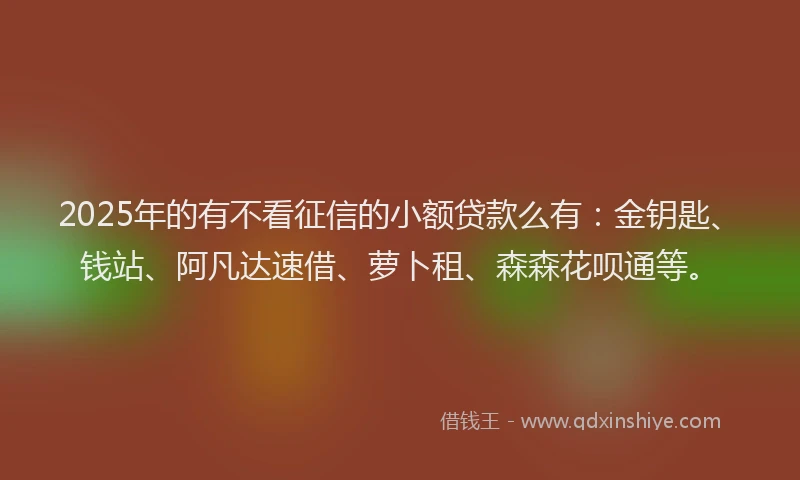2025年的有不看征信的小额贷款么有：金钥匙、钱站、阿凡达速借、萝卜租、森森花呗通等。