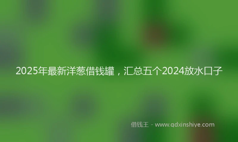 2025年最新洋葱借钱罐，汇总五个2024放水口子