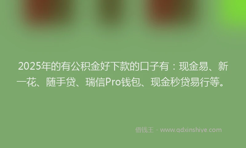 2025年的有公积金好下款的口子有：现金易、新一花、随手贷、瑞信Pro钱包、现金秒贷易行等。