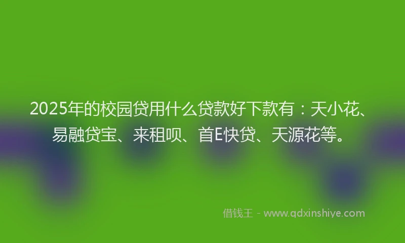 2025年的校园贷用什么贷款好下款有：天小花、易融贷宝、来租呗、首E快贷、天源花等。