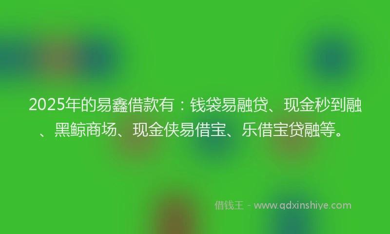 2025年的易鑫借款有：钱袋易融贷、现金秒到融、黑鲸商场、现金侠易借宝、乐借宝贷融等。