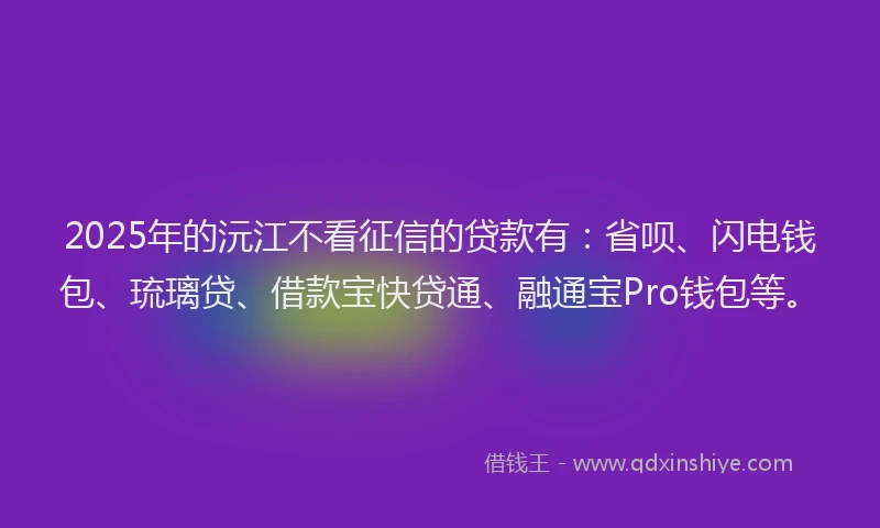 2025年的沅江不看征信的贷款有：省呗、闪电钱包、琉璃贷、借款宝快贷通、融通宝Pro钱包等。