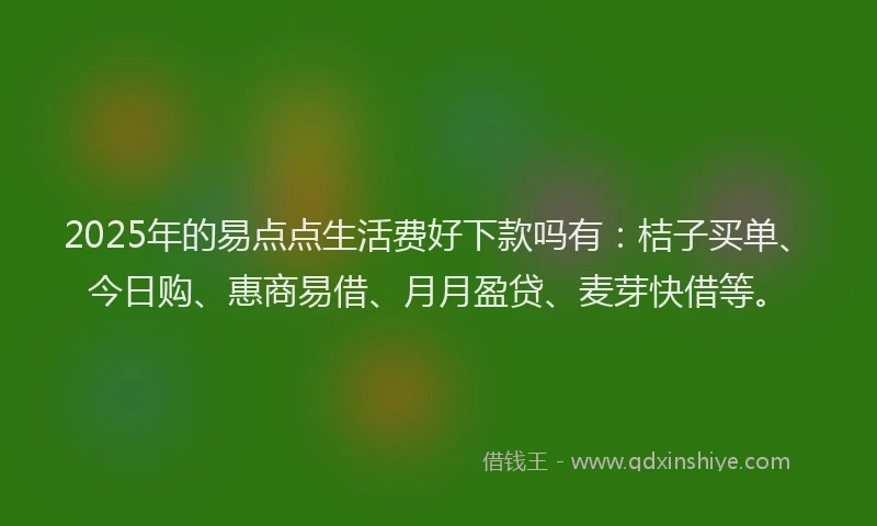 2025年的易点点生活费好下款吗有：桔子买单、今日购、惠商易借、月月盈贷、麦芽快借等。