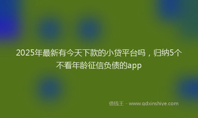 2025年最新有今天下款的小贷平台吗，归纳5个不看年龄征信负债的app
