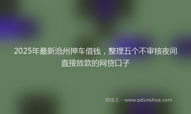 2025年最新沧州押车借钱，整理五个不审核夜间直接放款的网贷口子
