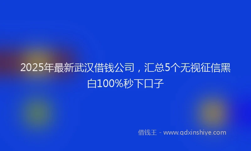 2025年最新武汉借钱公司，汇总5个无视征信黑白100%秒下口子