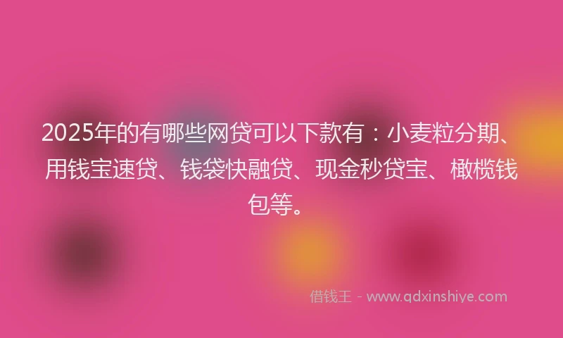 2025年的有哪些网贷可以下款有：小麦粒分期、用钱宝速贷、钱袋快融贷、现金秒贷宝、橄榄钱包等。