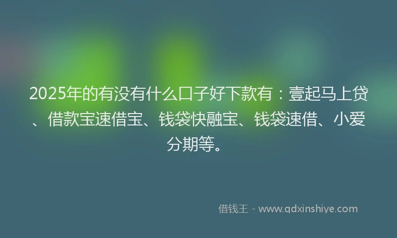 2025年的有没有什么口子好下款有：壹起马上贷、借款宝速借宝、钱袋快融宝、钱袋速借、小爱分期等。
