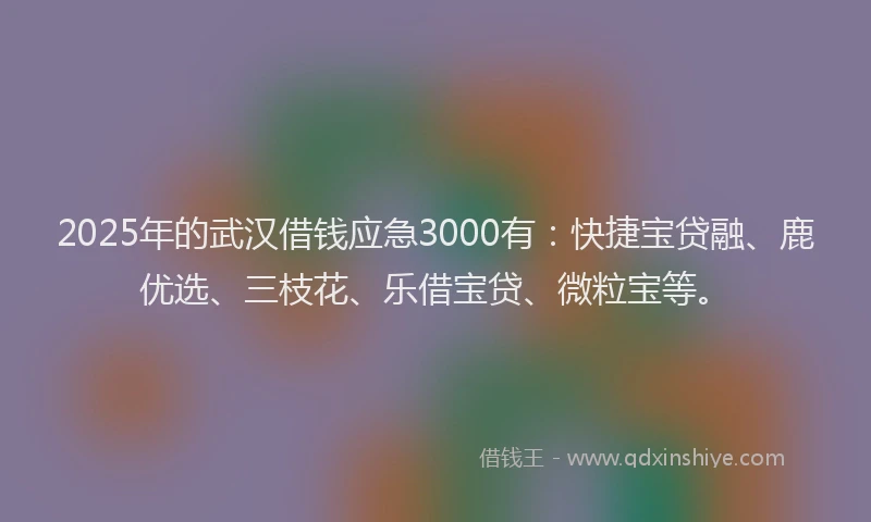 2025年的武汉借钱应急3000有：快捷宝贷融、鹿优选、三枝花、乐借宝贷、微粒宝等。