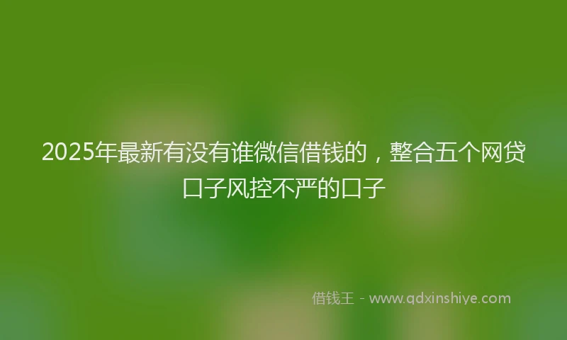 2025年最新有没有谁微信借钱的，整合五个网贷口子风控不严的口子