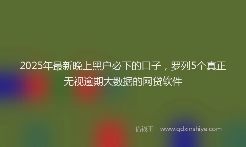 2025年最新晚上黑户必下的口子，罗列5个真正无视逾期大数据的网贷软件