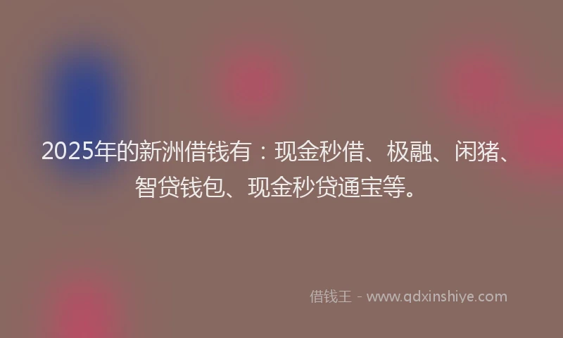 2025年的新洲借钱有：现金秒借、极融、闲猪、智贷钱包、现金秒贷通宝等。