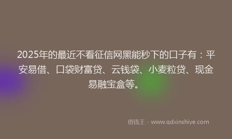 2025年的最近不看征信网黑能秒下的口子有：平安易借、口袋财富贷、云钱袋、小麦粒贷、现金易融宝盒等。