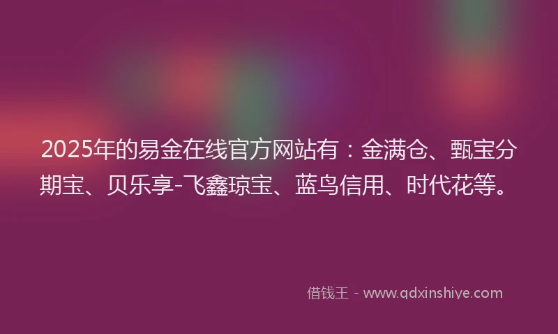 2025年的易金在线官方网站有：金满仓、甄宝分期宝、贝乐享-飞鑫琼宝、蓝鸟信用、时代花等。