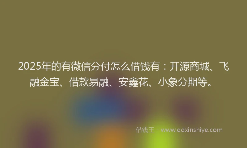 2025年的有微信分付怎么借钱有：开源商城、飞融金宝、借款易融、安鑫花、小象分期等。