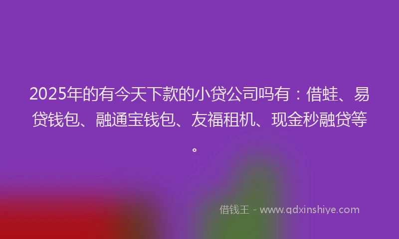2025年的有今天下款的小贷公司吗有：借蛙、易贷钱包、融通宝钱包、友福租机、现金秒融贷等。