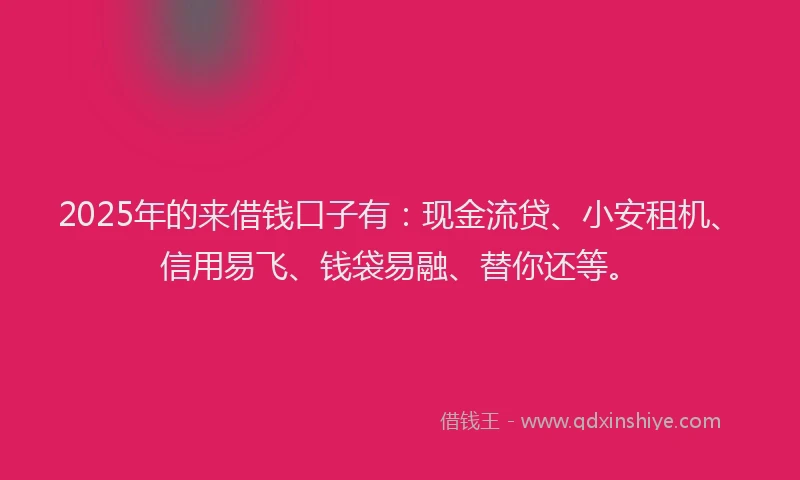 2025年的来借钱口子有：现金流贷、小安租机、信用易飞、钱袋易融、替你还等。