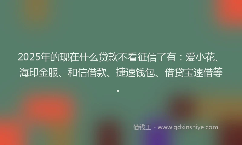2025年的现在什么贷款不看征信了有：爱小花、海印金服、和信借款、捷速钱包、借贷宝速借等。