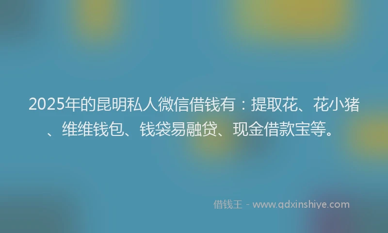 2025年的昆明私人微信借钱有：提取花、花小猪、维维钱包、钱袋易融贷、现金借款宝等。