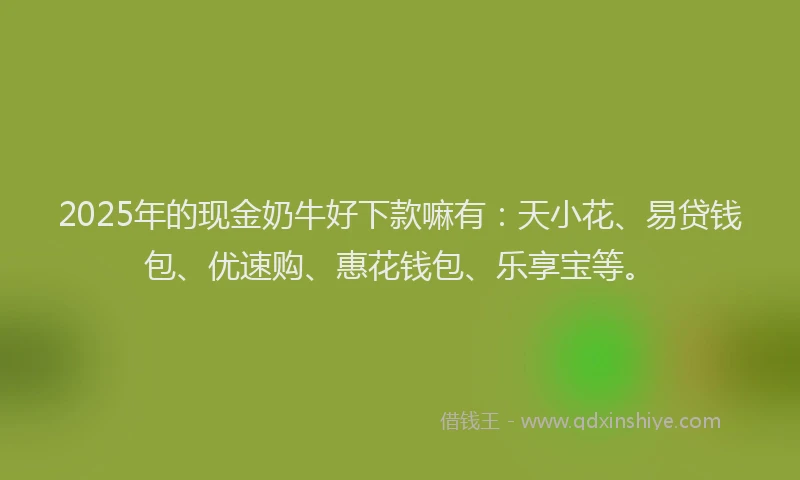 2025年的现金奶牛好下款嘛有：天小花、易贷钱包、优速购、惠花钱包、乐享宝等。