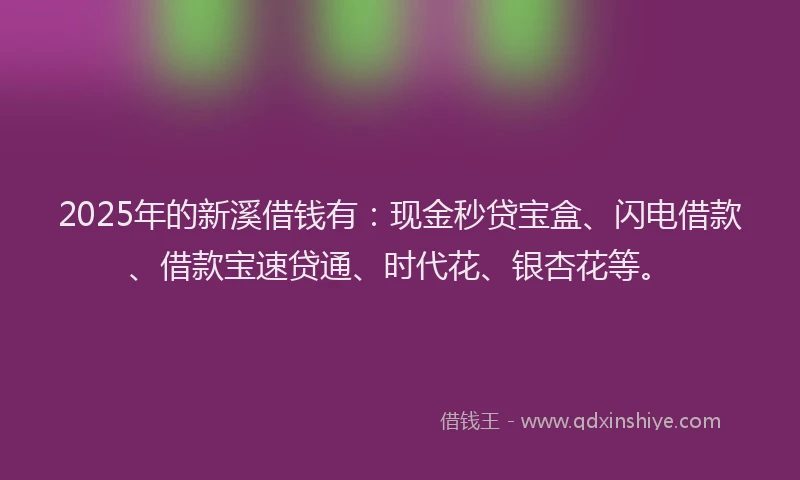 2025年的新溪借钱有：现金秒贷宝盒、闪电借款、借款宝速贷通、时代花、银杏花等。