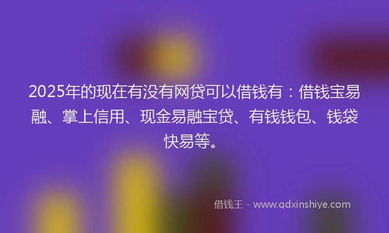 2025年的现在有没有网贷可以借钱有：借钱宝易融、掌上信用、现金易融宝贷、有钱钱包、钱袋快易等。