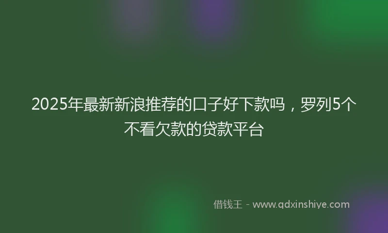 2025年最新新浪推荐的口子好下款吗，罗列5个不看欠款的贷款平台