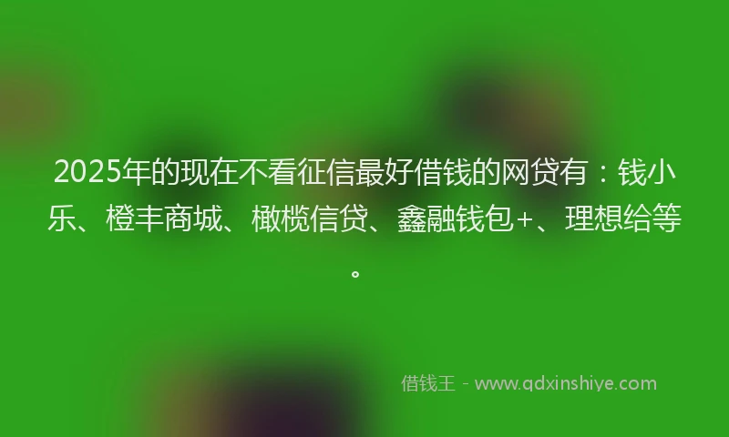 2025年的现在不看征信最好借钱的网贷有：钱小乐、橙丰商城、橄榄信贷、鑫融钱包+、理想给等。