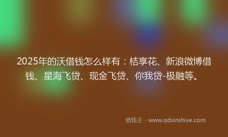 2025年的沃借钱怎么样有：桔享花、新浪微博借钱、星海飞贷、现金飞贷、你我贷-极融等。