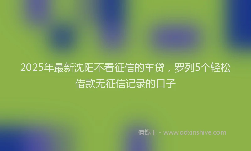 2025年最新沈阳不看征信的车贷，罗列5个轻松借款无征信记录的口子