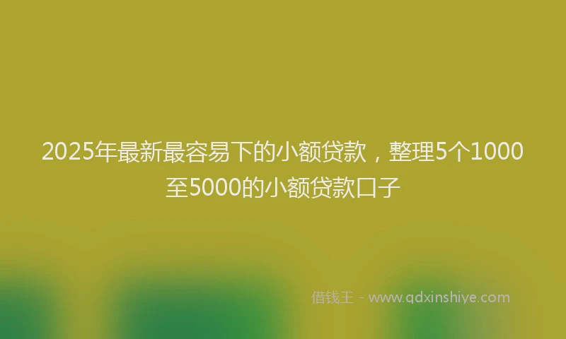 2025年最新最容易下的小额贷款，整理5个1000至5000的小额贷款口子