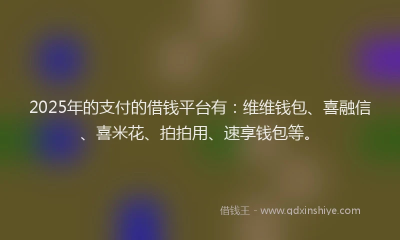 2025年的支付的借钱平台有：维维钱包、喜融信、喜米花、拍拍用、速享钱包等。