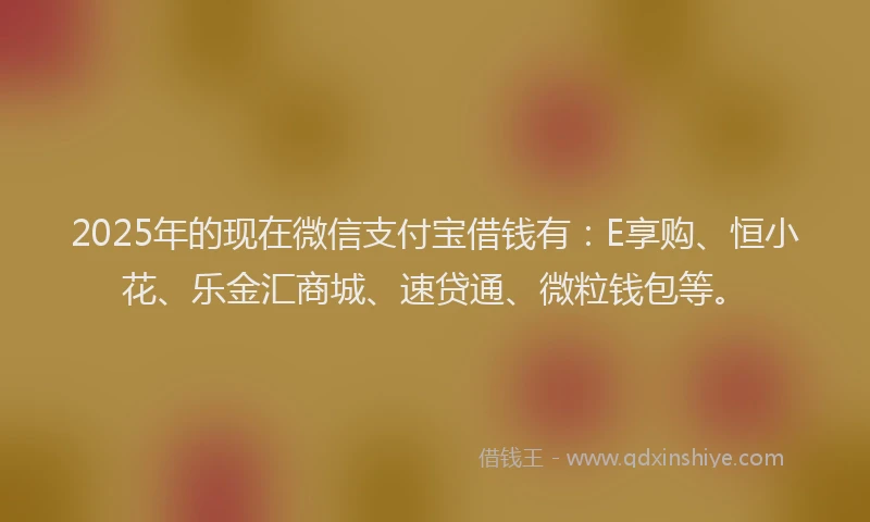 2025年的现在微信支付宝借钱有：E享购、恒小花、乐金汇商城、速贷通、微粒钱包等。